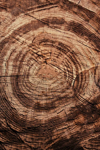 茶色の天然木の質感 — ストック写真