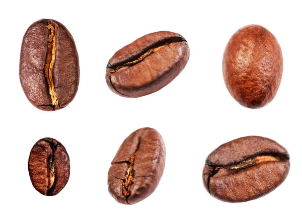 Set chicchi di caffè — Foto Stock