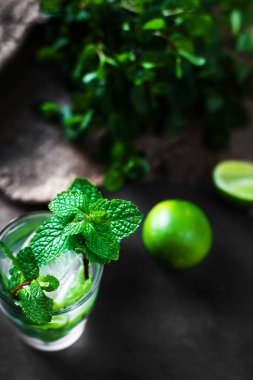 cam malzemelerle Mojito