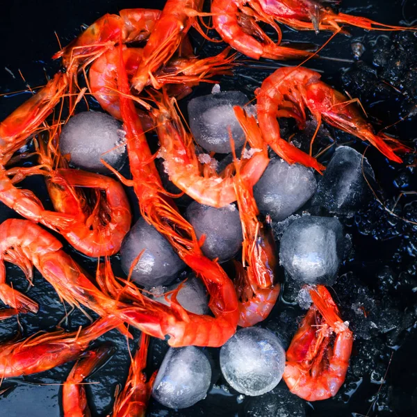 Deliciosos camarões no gelo — Fotografia de Stock