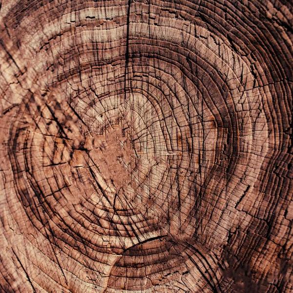 Wooden brown textured wall — Stock Photo, Image