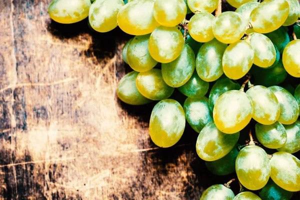 Manojos de uvas frescas maduras — Foto de Stock