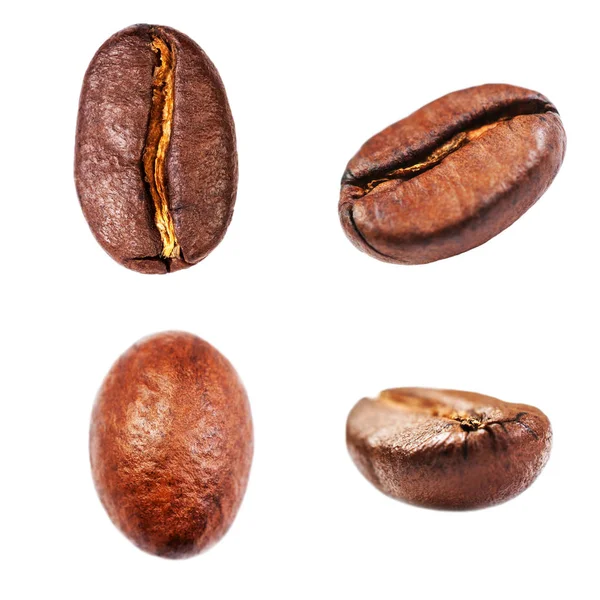 Coffee beans collection — Stock Photo, Image