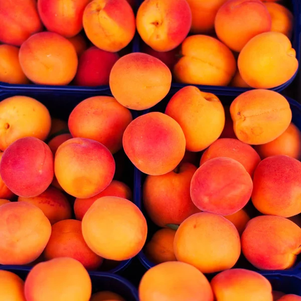 Frutos de damasco orgânicos frescos . — Fotografia de Stock