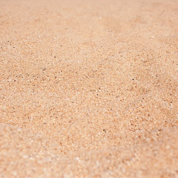 Yellow and brown Sandy texture — Stock Photo, Image