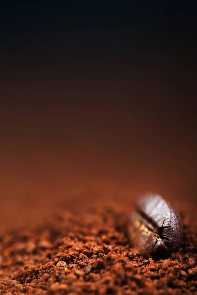 Roasted Coffee Bean — Stock Photo, Image