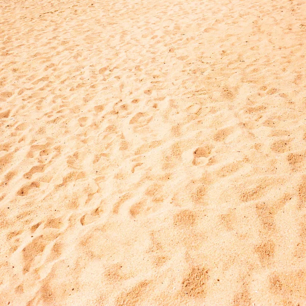 Yellow and brown Sandy texture — Stock Photo, Image