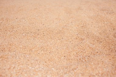 Sarı ve kahverengi Sandy doku 