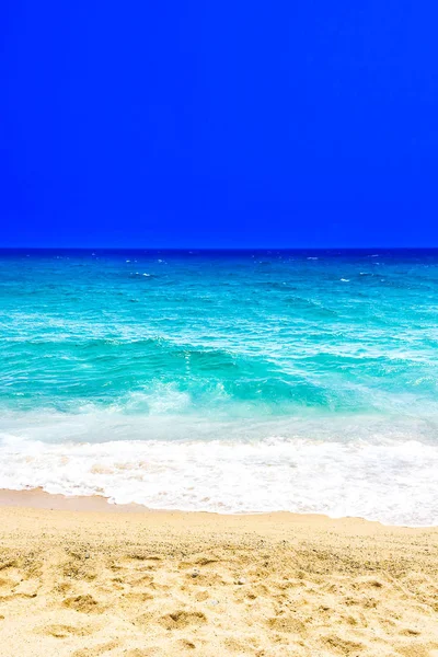 Boş kumlu plaj ve okyanus 