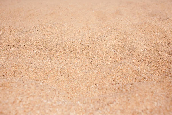 Yellow and brown Sandy texture — Stock Photo, Image