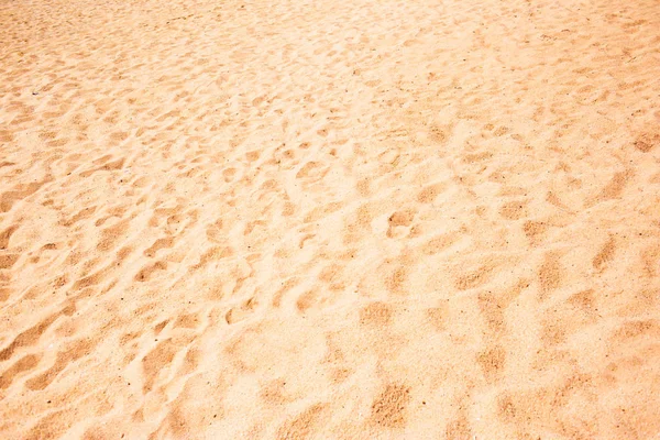 Yellow and brown Sandy texture — Stock Photo, Image