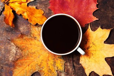  sonbahar yaprakları ve kahve.