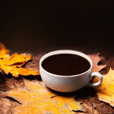 sonbahar yaprakları ve kahve.