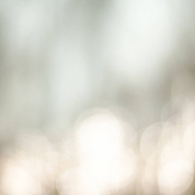 Güzel doğa bulanık ışık 