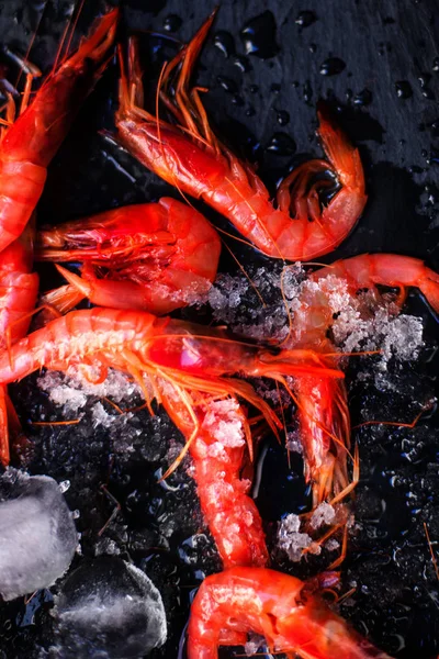 Čerstvé syrové krevety s ledem — Stock fotografie