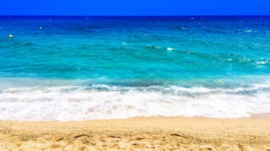 Boş plaj ve okyanus 