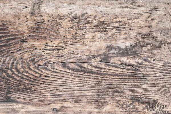 Old natural wood grunge texture. — Stock Photo, Image