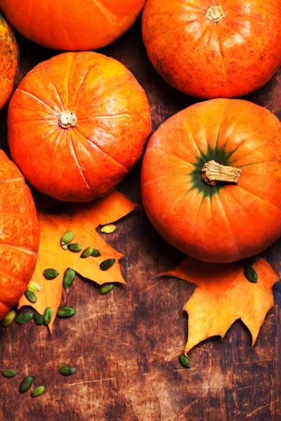 Sonbahar balkabağı arkaplanı 