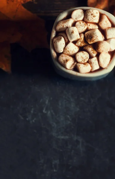Hot cocoa mug  with marshmallows — Stock Photo, Image