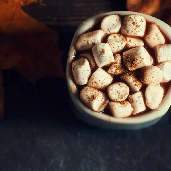 Caneca de cacau quente com marshmallows — Fotografia de Stock