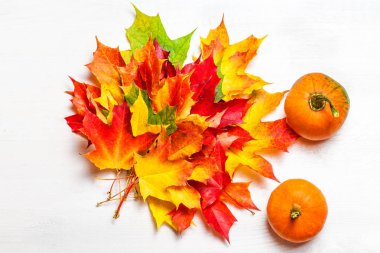  akçaağaç yaprakları ve kabaklar