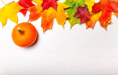  Akçaağaç yaprakları ve kabak