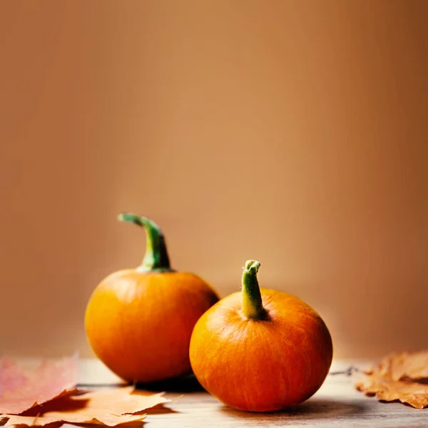 Оранжевые тыквы на столе — стоковое фото