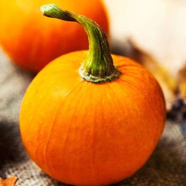 Oranje pompoen op tafel — Stockfoto