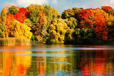 Renkli yaprakları, ağaçlar ve göl güzel sonbahar park. Sonbaharda sonbahar Landscape.Park. Ev ormanda