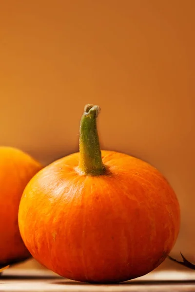 Zucca arancione sul tavolo — Foto Stock