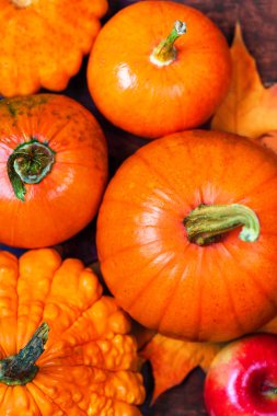 Şükran günü geçmiş kabak ile