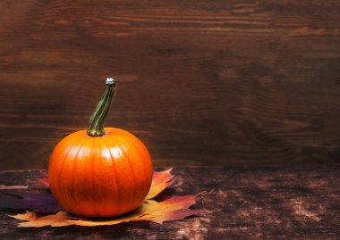 Turuncu sonbahar kabak
