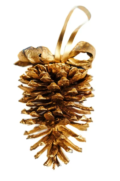 Golden pine cone — Stock Photo, Image