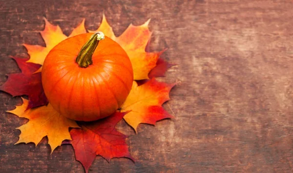 Laranja abóbora halloween e folhas — Fotografia de Stock