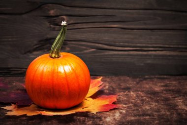 Sonbahar kabak Şükran günü kartı ahşap tablo kopya spac turuncu kabak ile