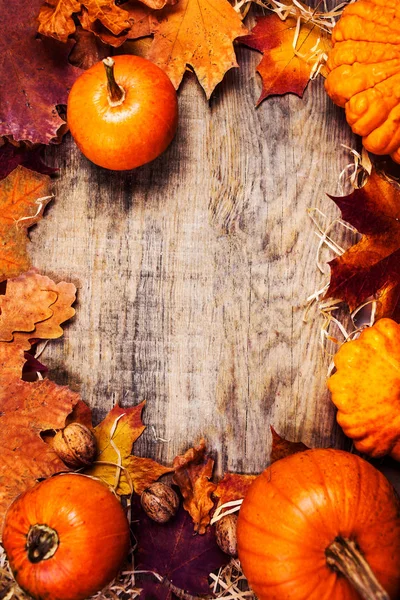 Граница Дня Благодарения Рамка Оранжевыми Тыквами Красочными Листьями Деревянном Фоне — стоковое фото