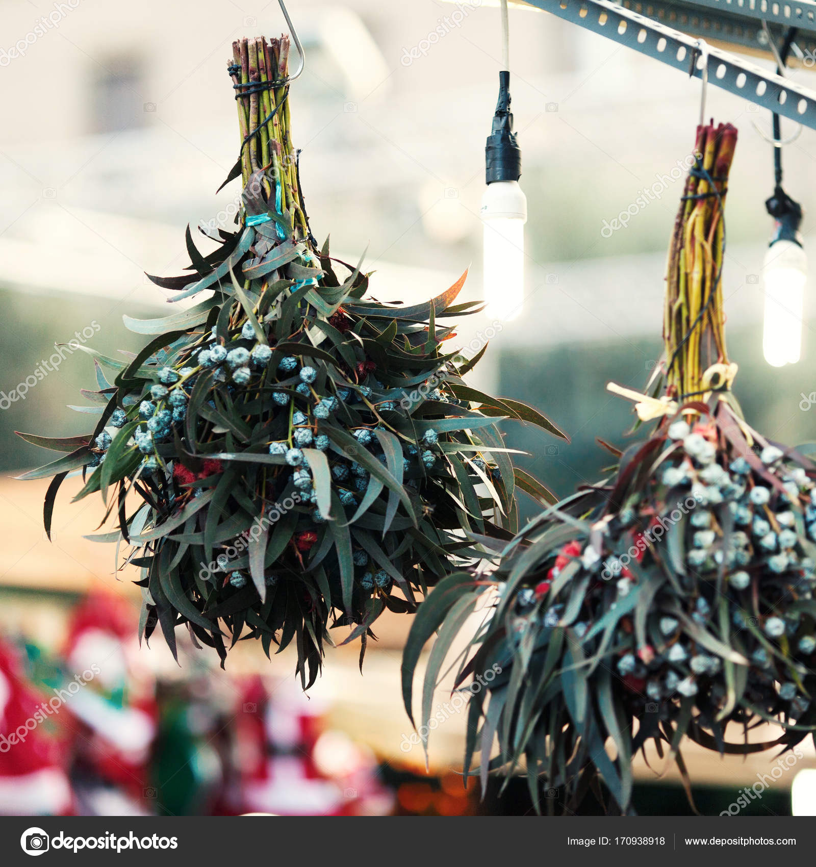 Christmas mistletoe plant Stock Photo by ©Zakharova 170938918 Christmas mistletoe plant Stock Photo by ©Zakharova 170938918