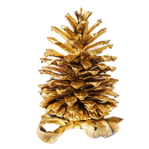 Golden pine cone — Stock Photo, Image