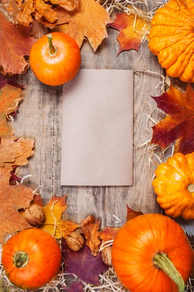 感恩背景与橙色南瓜和五颜六色的叶子在木板材与 Copyspace 秋季理念 — 图库照片