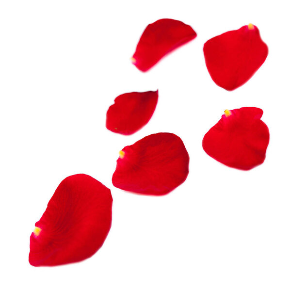 Red Rose petals 