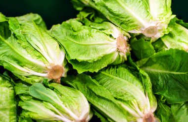 Organik sebze. Taze sebze. Marul bir salata çatalı. Gıda kavramı