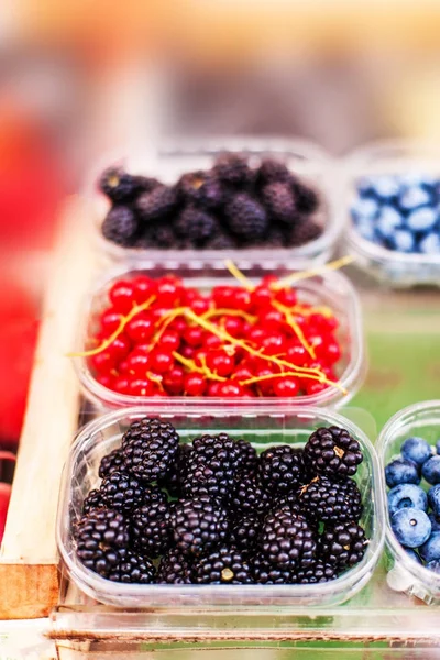 来自当地农民市场的各种浆果 健康的本地食品市场概念 各种浆果在一个盒子里 覆盆子 Cherre — 图库照片