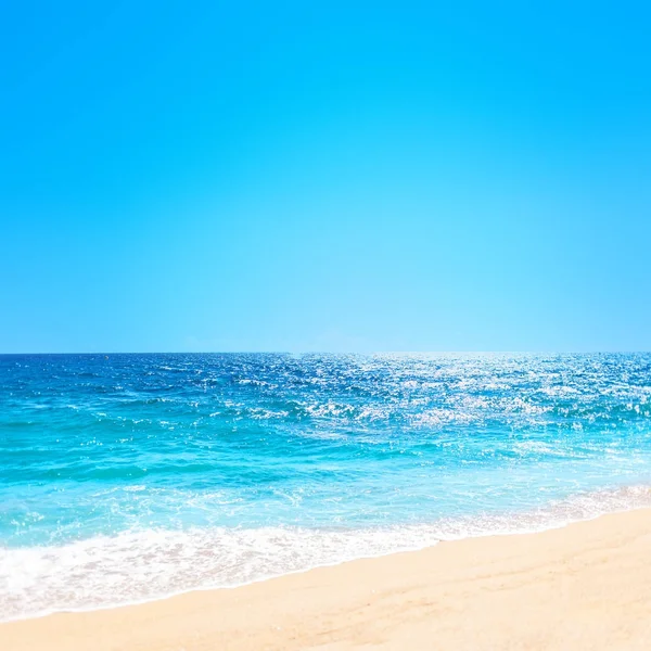 Soft Wave Blue Ocean Sandy Beach Background Place Text Tropical — Stock Photo, Image