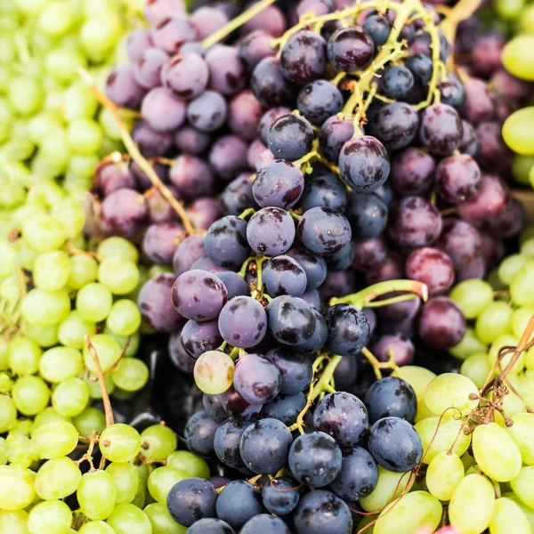 Bir yerel çiftçi piyasasında olgun üzüm çeşitli organik. Sağlıklı yerel gıda pazarı konsepti vintage hippi tarzı. 