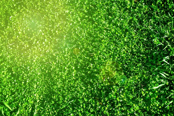 Vackra Fält Med Grönt Gräs Som Landskap Påsken Våren Fotboll — Stockfoto