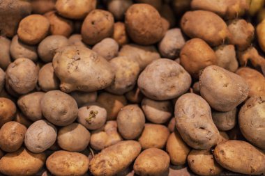 Çiğ patates, gıda arka plan. Taze patates ham organik altın patates bakkal