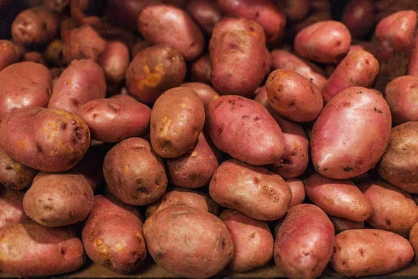 Syrové Brambory Potraviny Pozadí Čerstvé Brambory Syrové Organické Červené Brambory — Stock fotografie