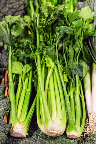 Zelená Organické Celer Trhu Stánek Obchodu Potravinami Ekologických Zemědělců — Stock fotografie