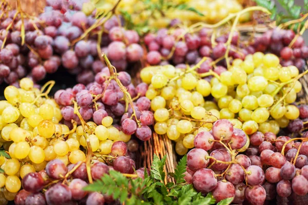 Fondo Uvas Orgánica Uva Roja Blanca Madura Mercado Concepto Cosecha — Foto de Stock