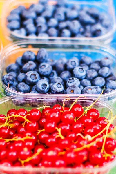 Berry Meyve Pazarı Organik Böğürtlen Ahududu Çilek Kiraz Sağlıklı Yerel — Stok fotoğraf